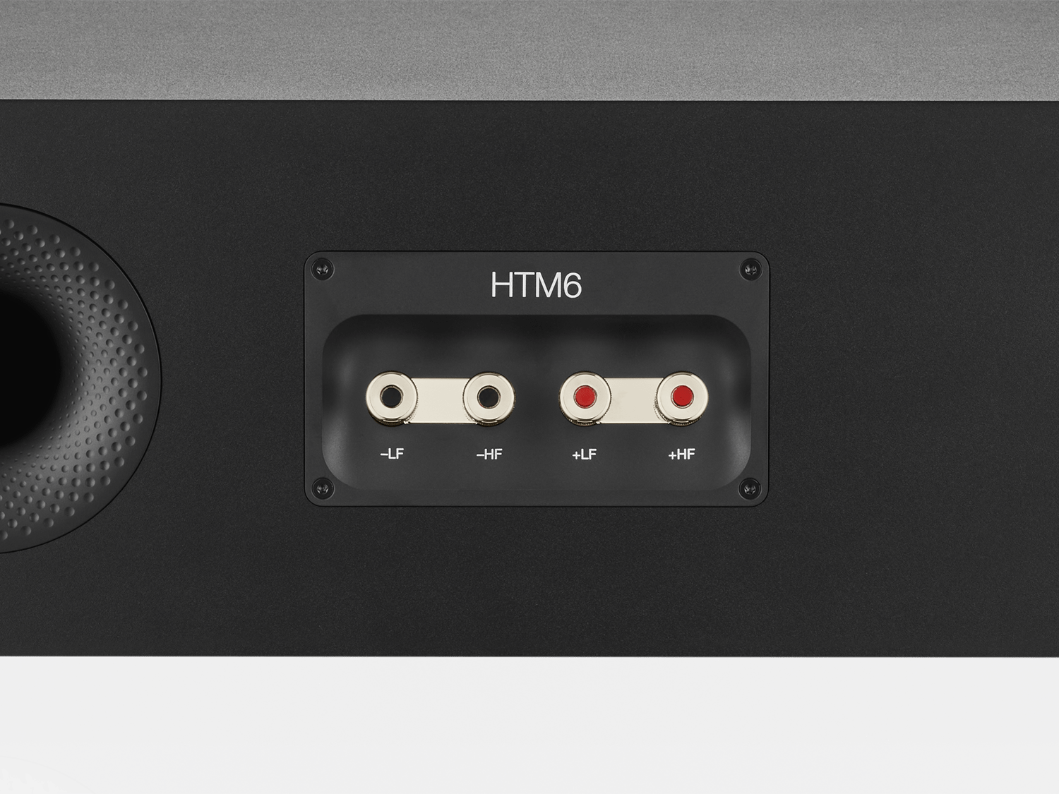 Upgraded speaker terminals